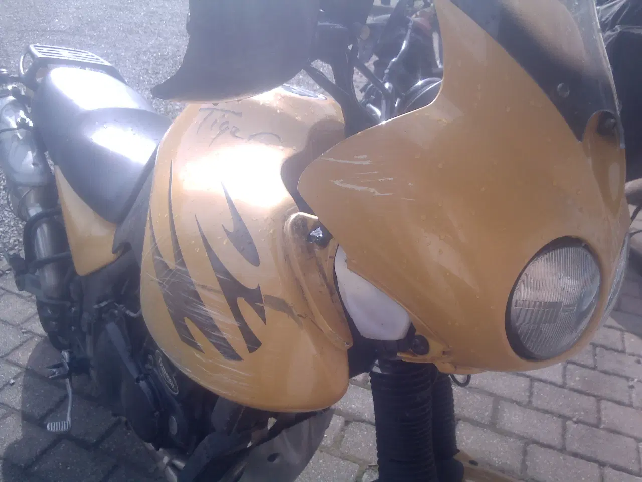Billede 5 - triumph tiger 900cc