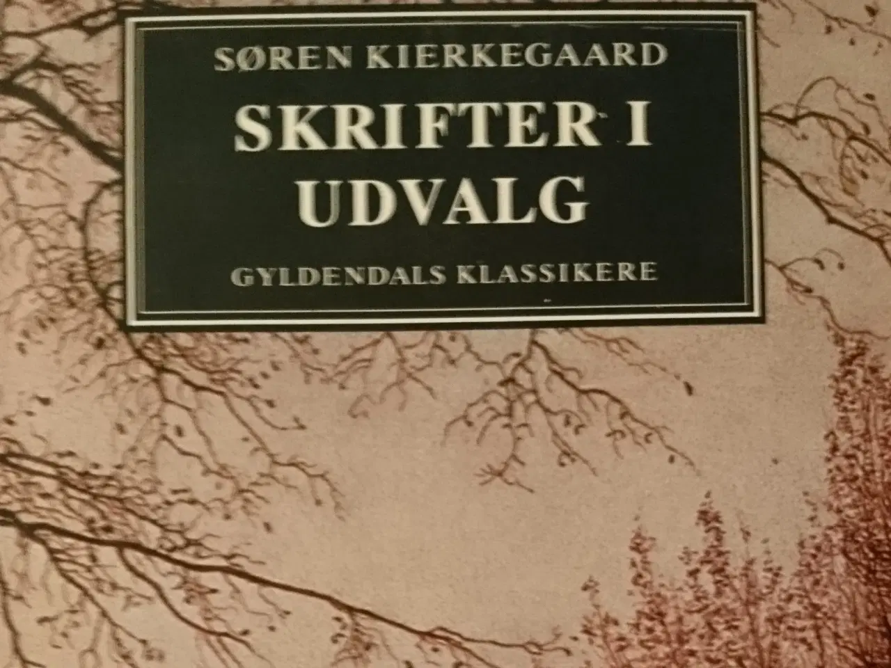 Billede 1 - Skrifter i udvalg. Af Søren Kierkegaard