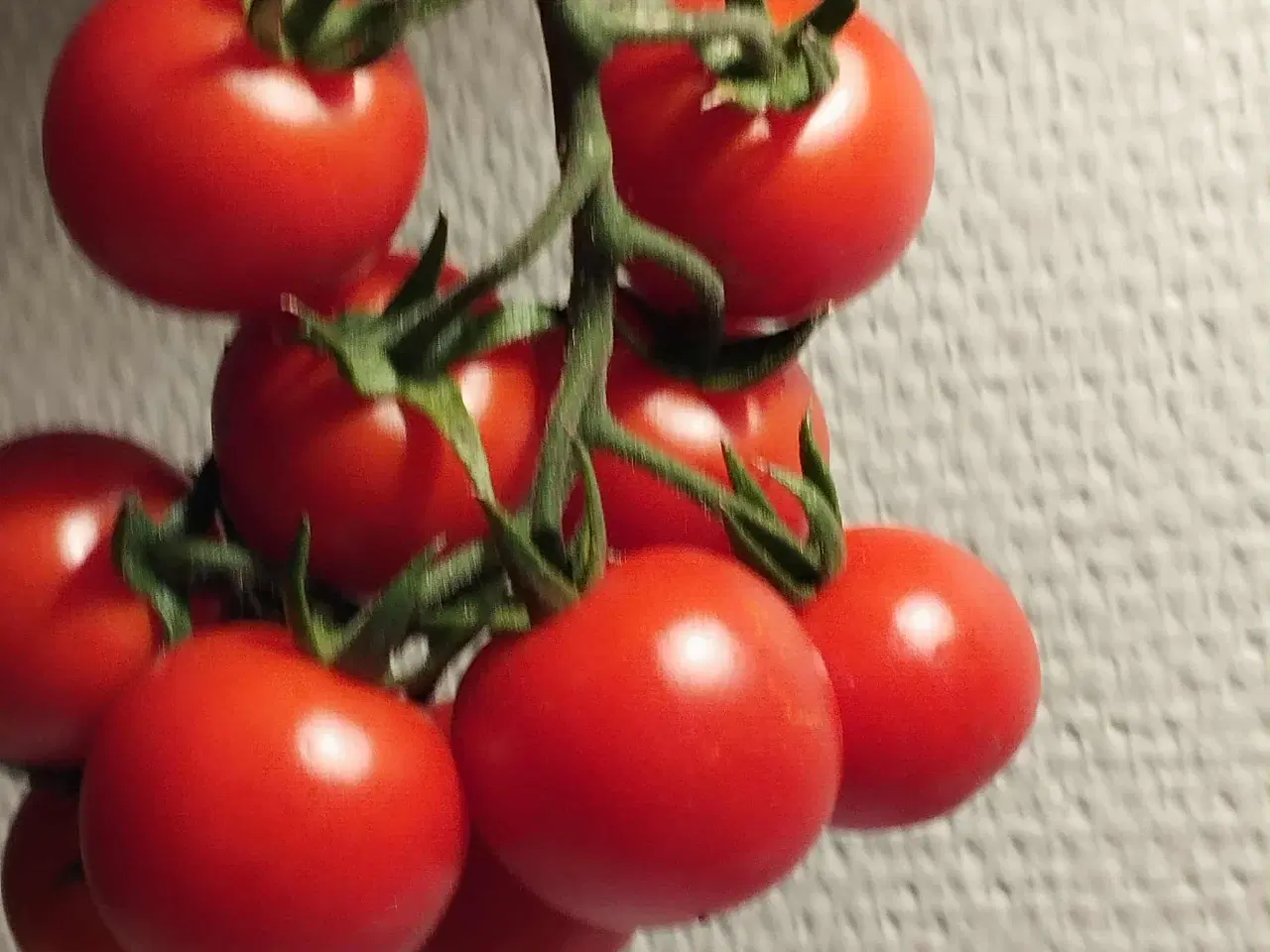 Billede 13 - Tomatplanter blandet sorter 