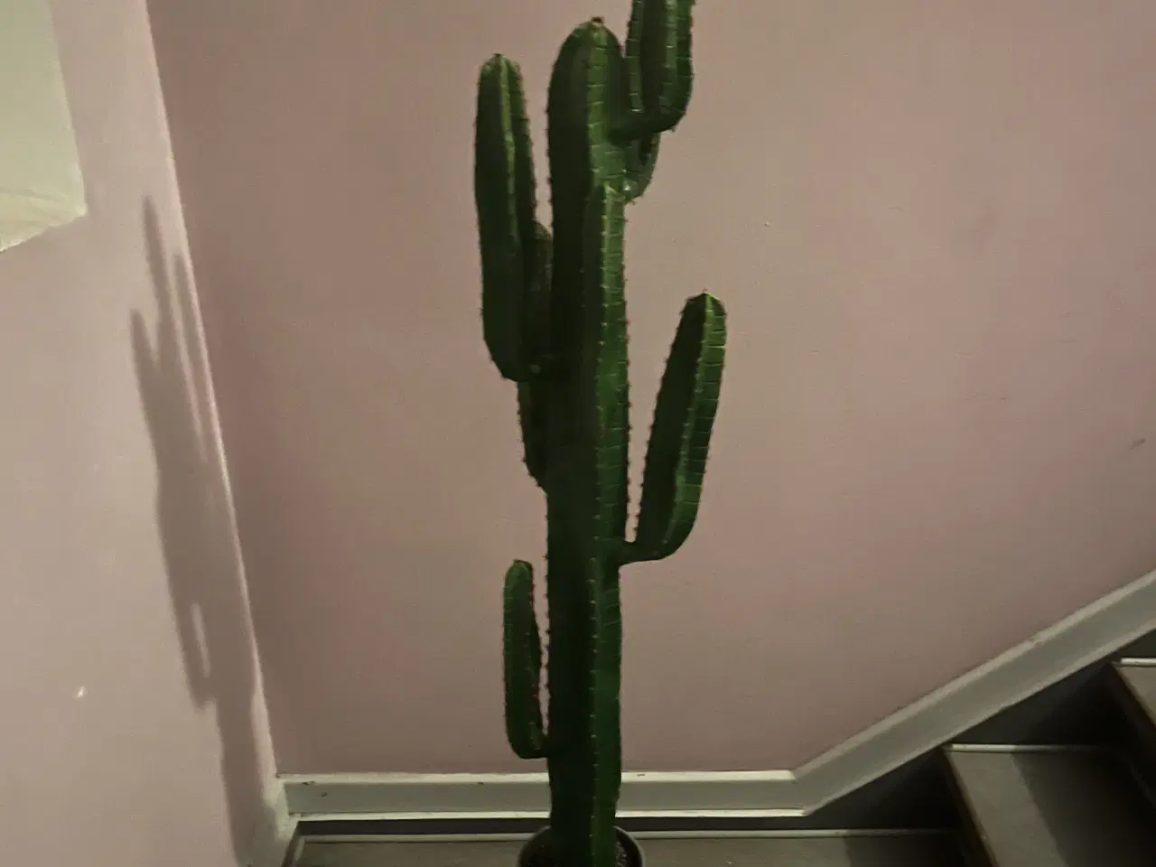 Billede 1 - Kunstig euphorbia kaktus