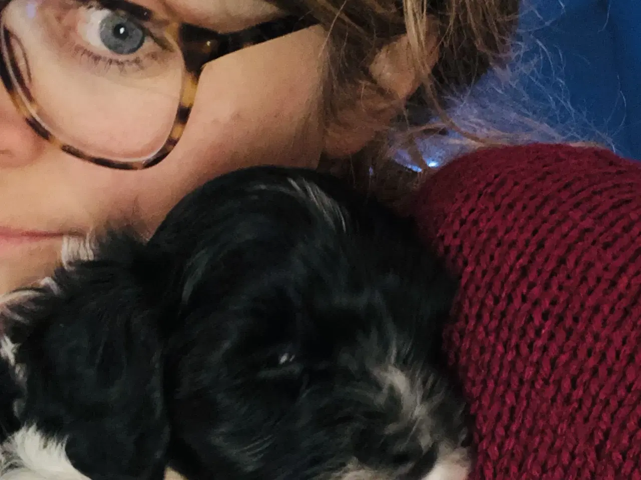 Billede 11 - Doodle Bamser