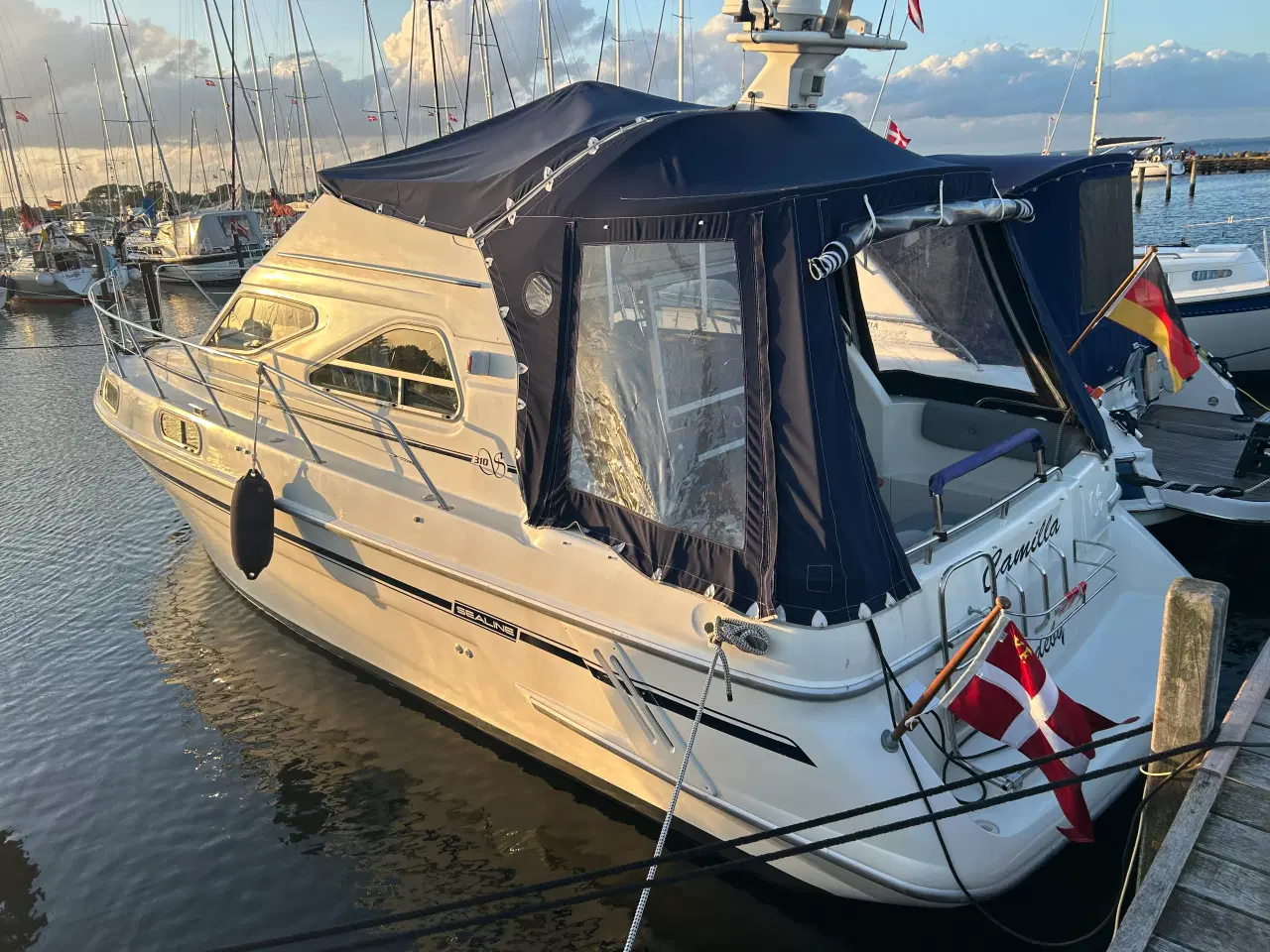 Billede 9 - Sealine 310