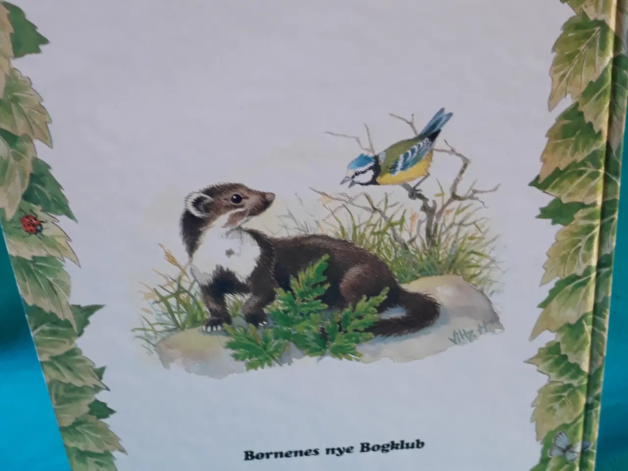 Billede 3 - Carla og Vilh. Hansen Bog