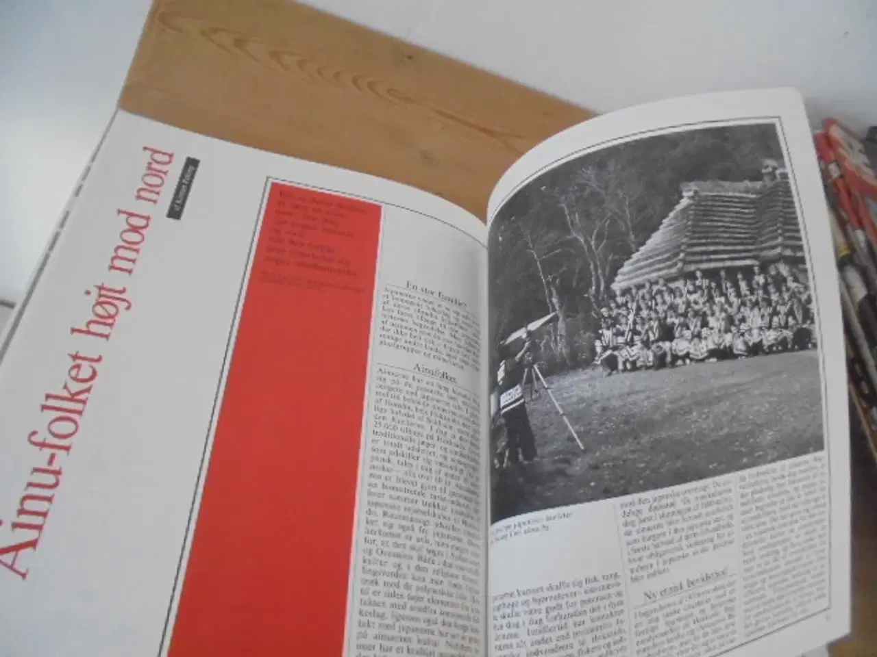 Billede 3 - Japan – Sommerudstilling i Brede 1983