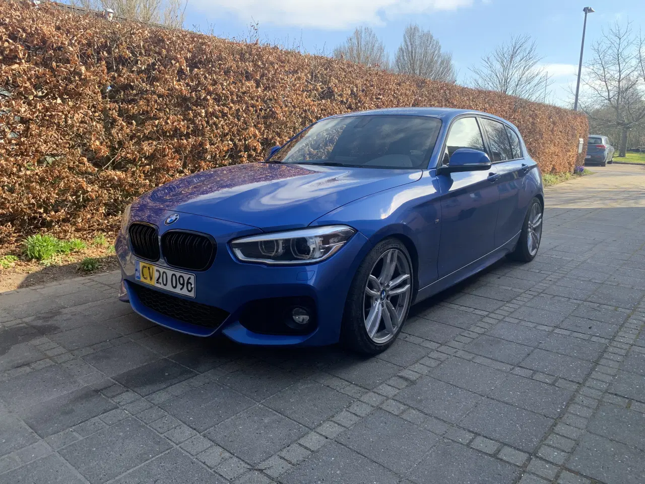Billede 1 - BMW F20 120d M-Sport 