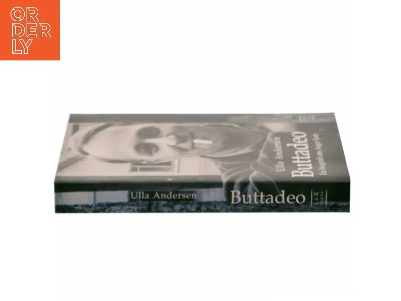 Billede 2 - Buttadeo : en biografi om maleren Asger Jorn af Ulla Andersen (f. 1955-05-30) (Bog)
