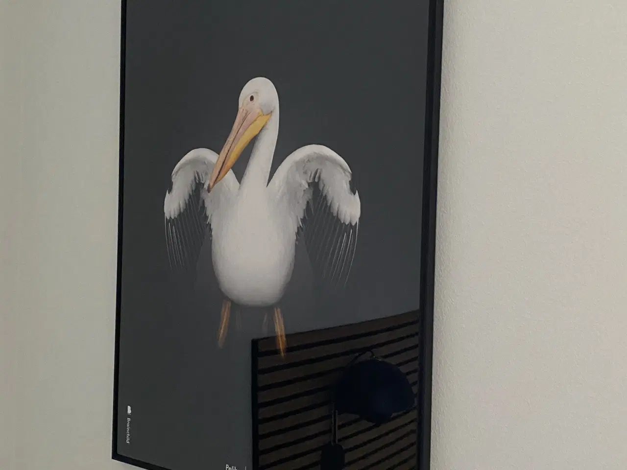 Billede 1 - Plakat fra Brainchild i sort aluramme 50X70 cm