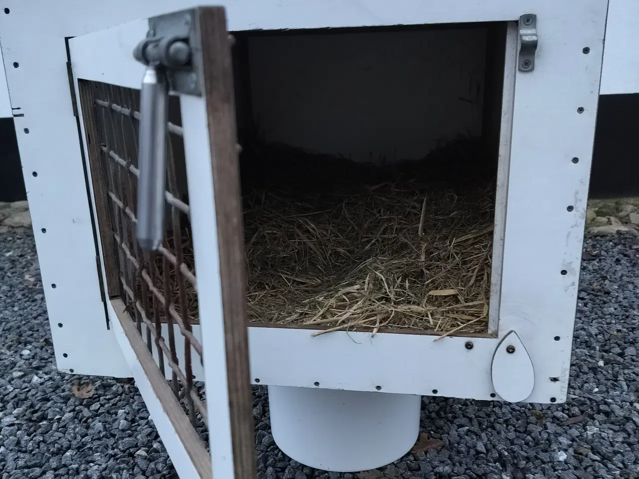 Billede 3 - Kanin kasse / transportkasse 
