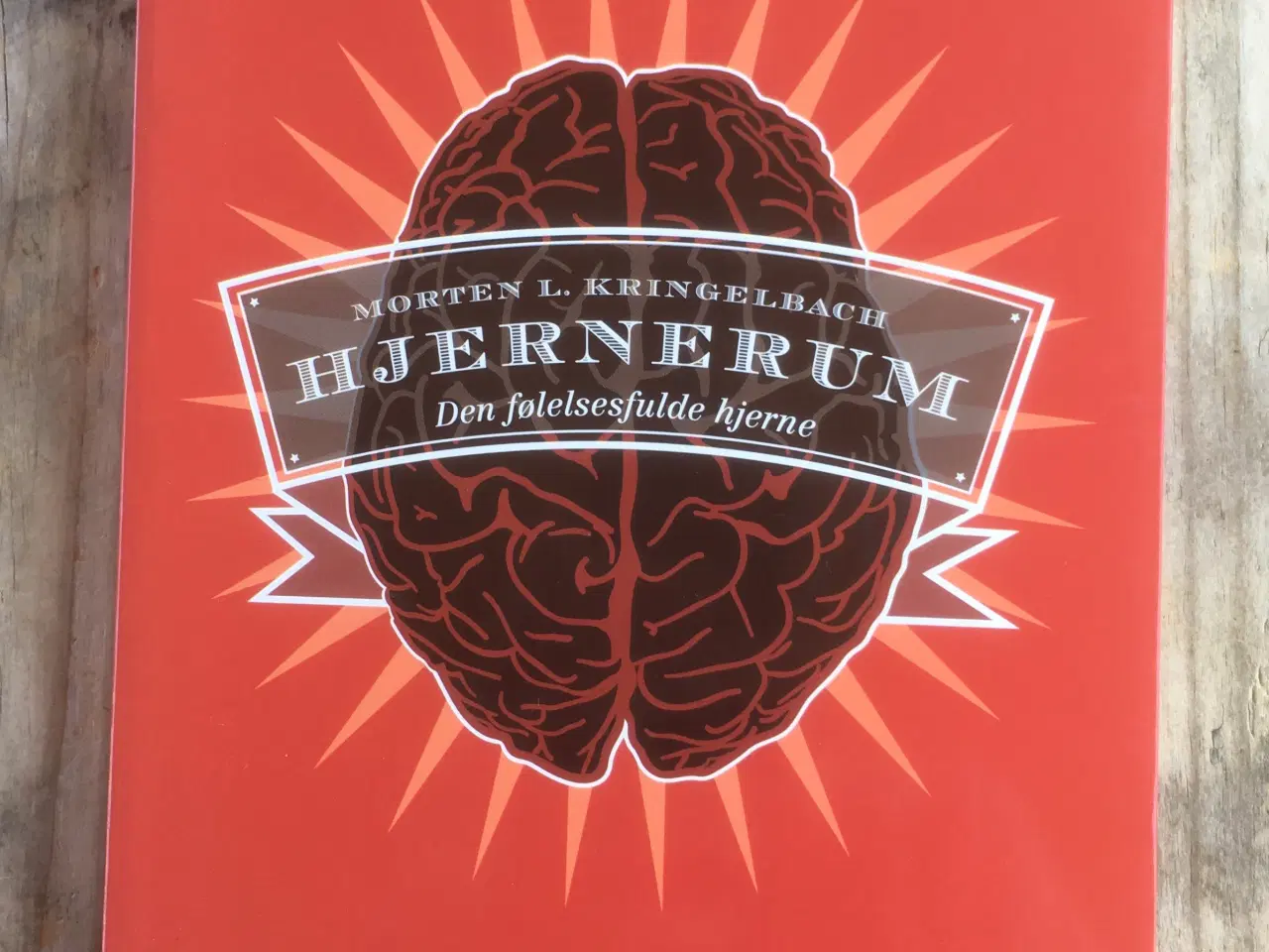 Billede 1 - Hjernerum - den følelsesfulde hjerne