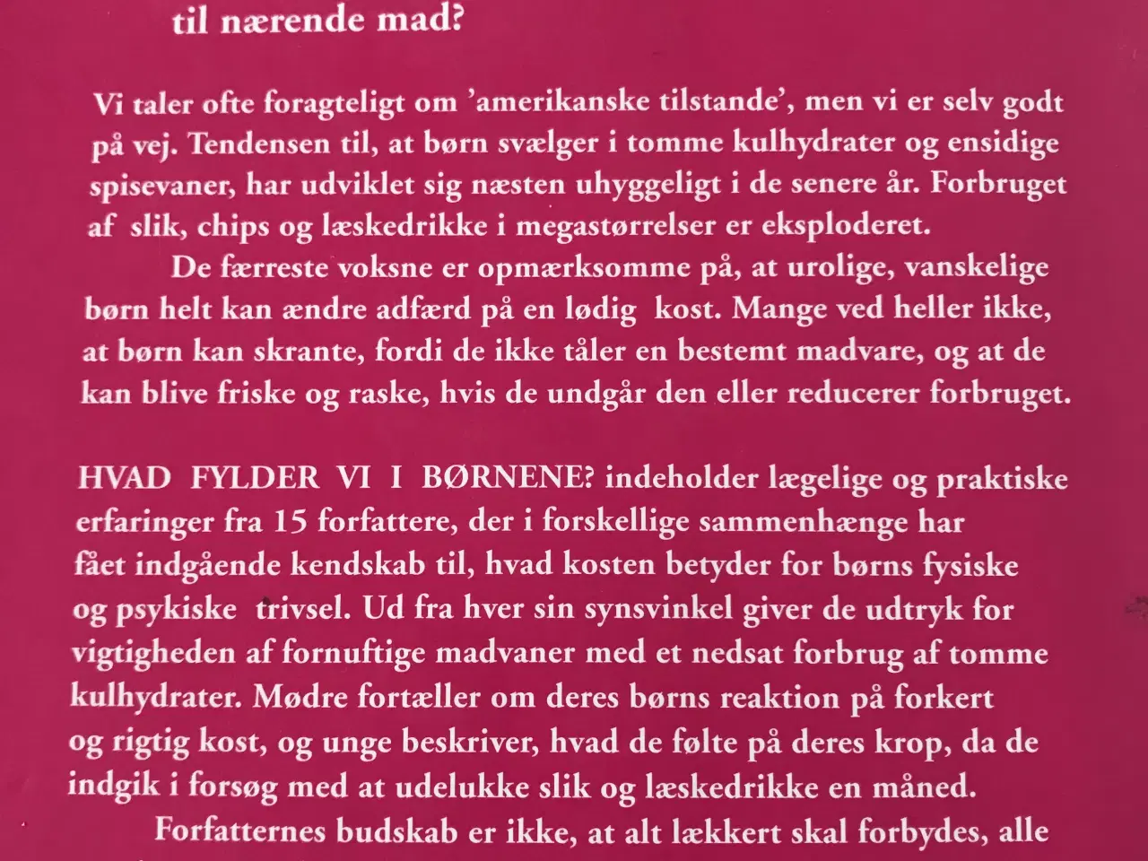 Billede 9 - Hvad fylder vi I børnene?