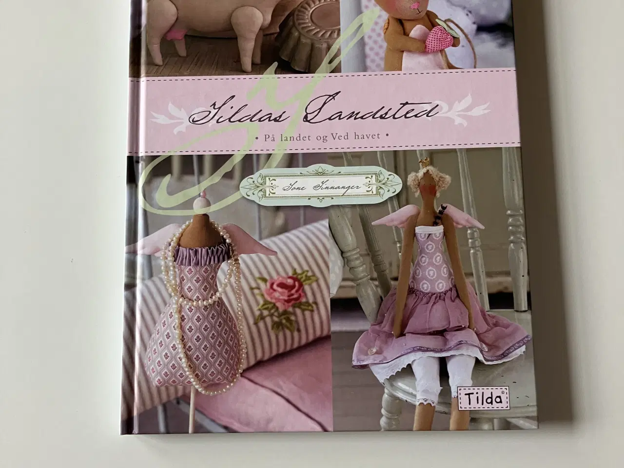 Billede 1 - Tildas landsted. Av Tone Finnanger (Norsk)