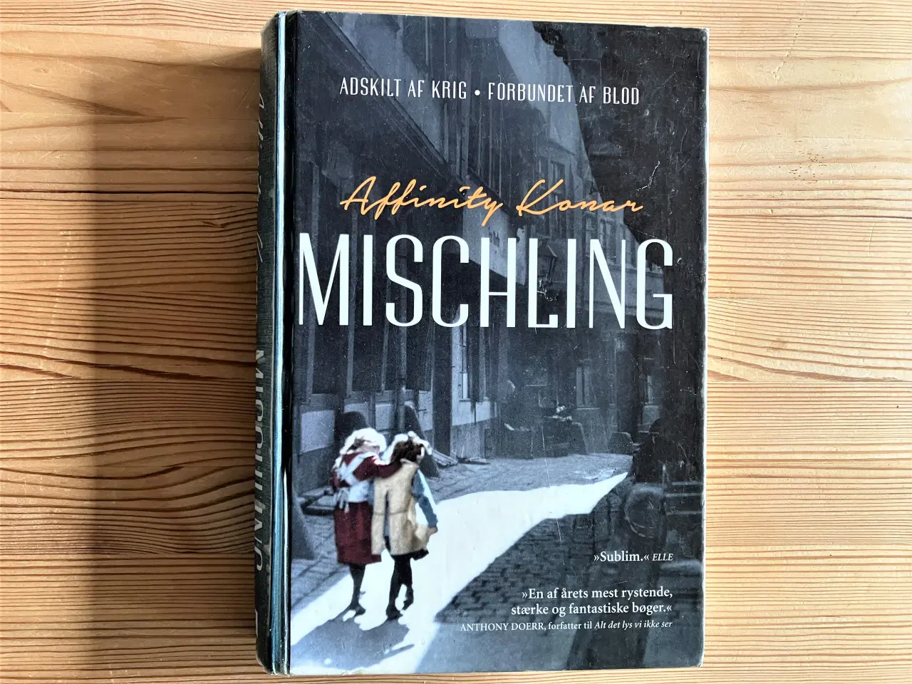 Billede 1 - Mischling - Holocaust-roman