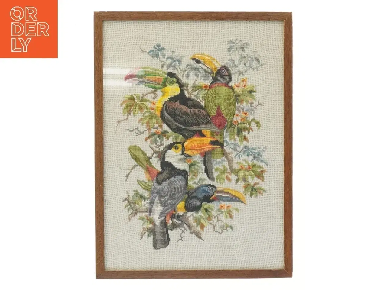 Billede 1 - Billede af tukaner i ramme (str. 39x29 cm)