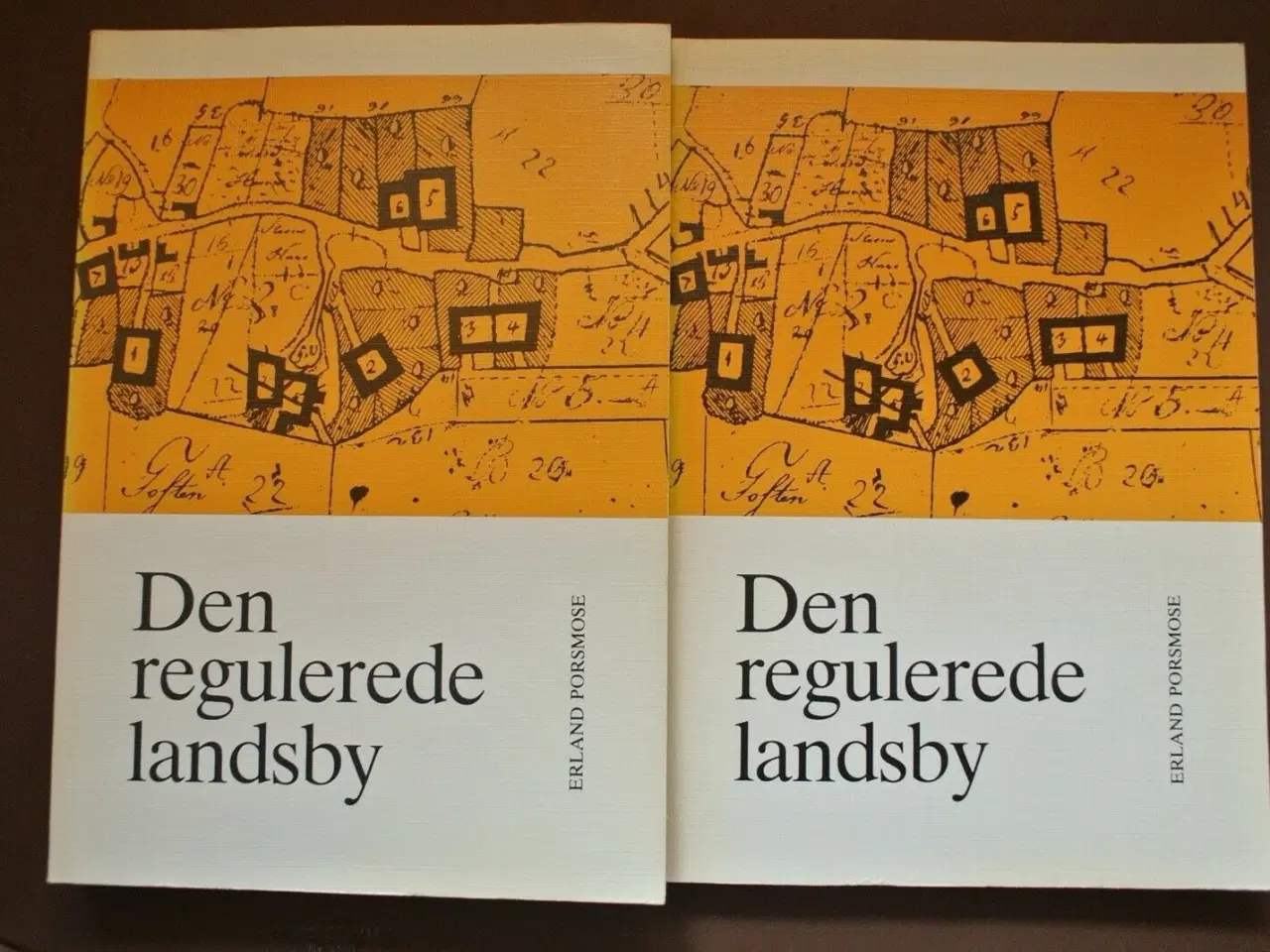 Billede 1 - den regulerede landsby 1-2, af erland porsmose