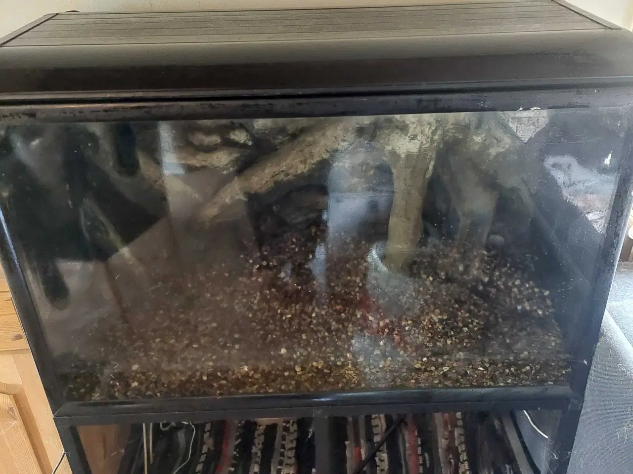 Billede 1 - 300l akvarie 