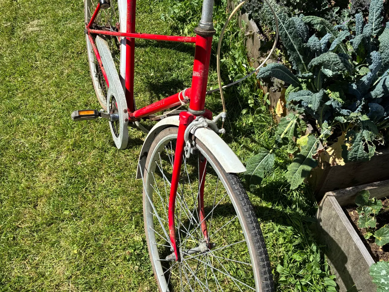 Billede 2 - Everton Cykel 28”
