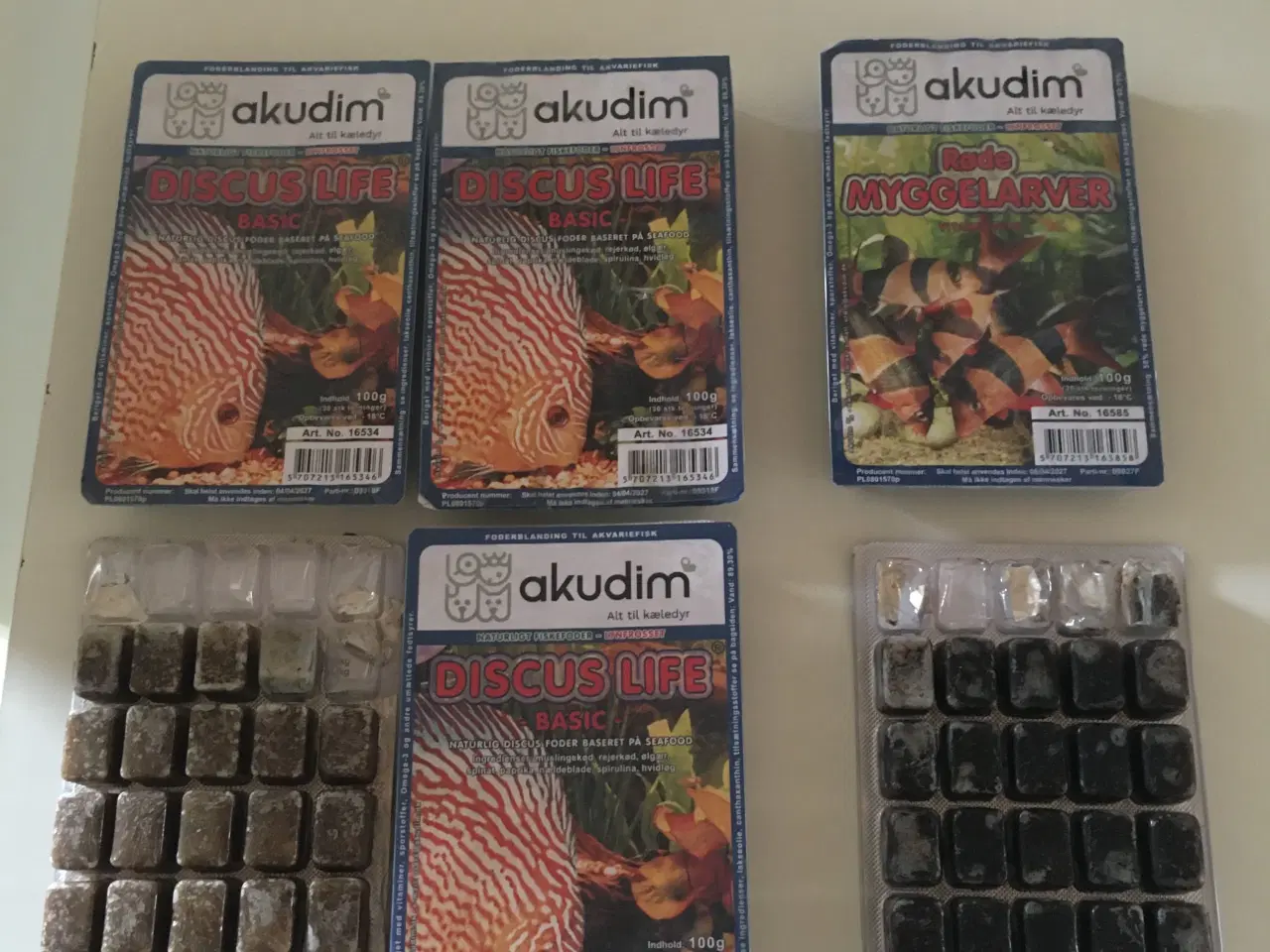 Billede 16 - Sommerfugle cichlide