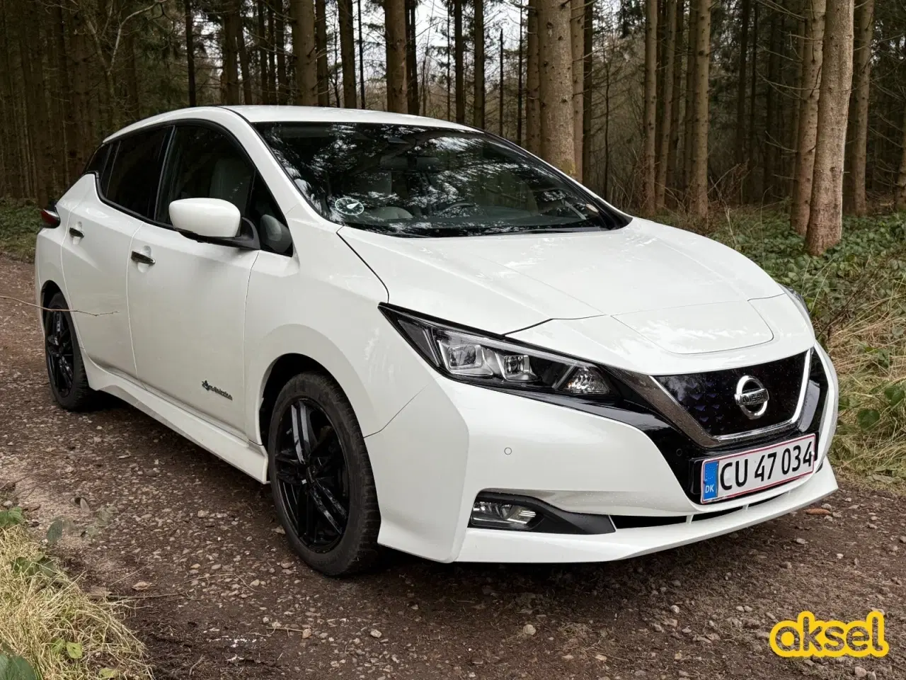 Billede 3 - Nissan Leaf 40 Tekna