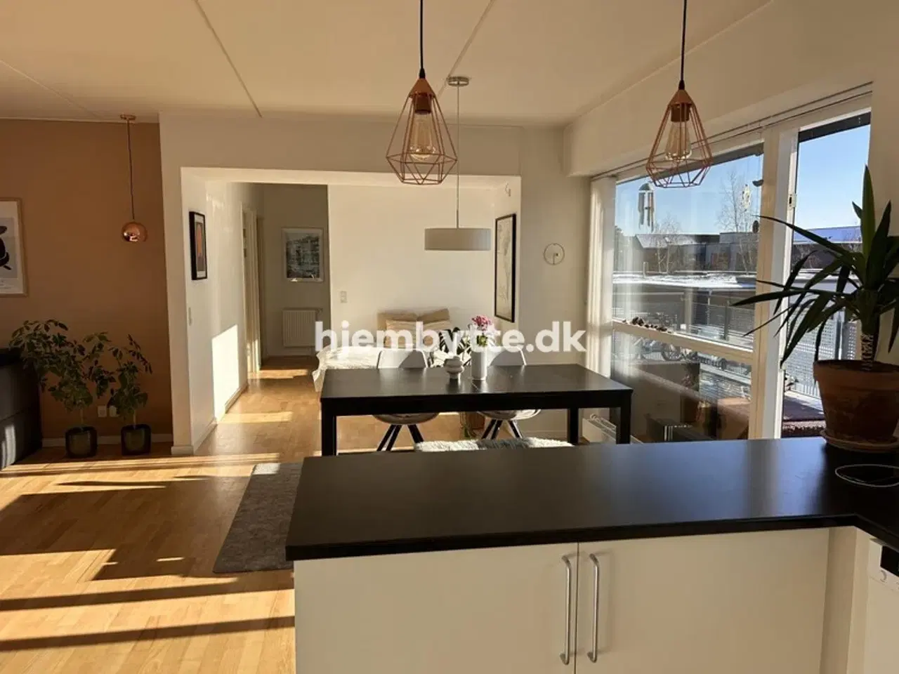 Billede 6 - Hjembytte - Falhøj