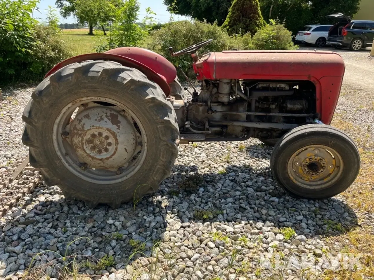 Billede 3 - Veterantraktor Massey Ferguson 35