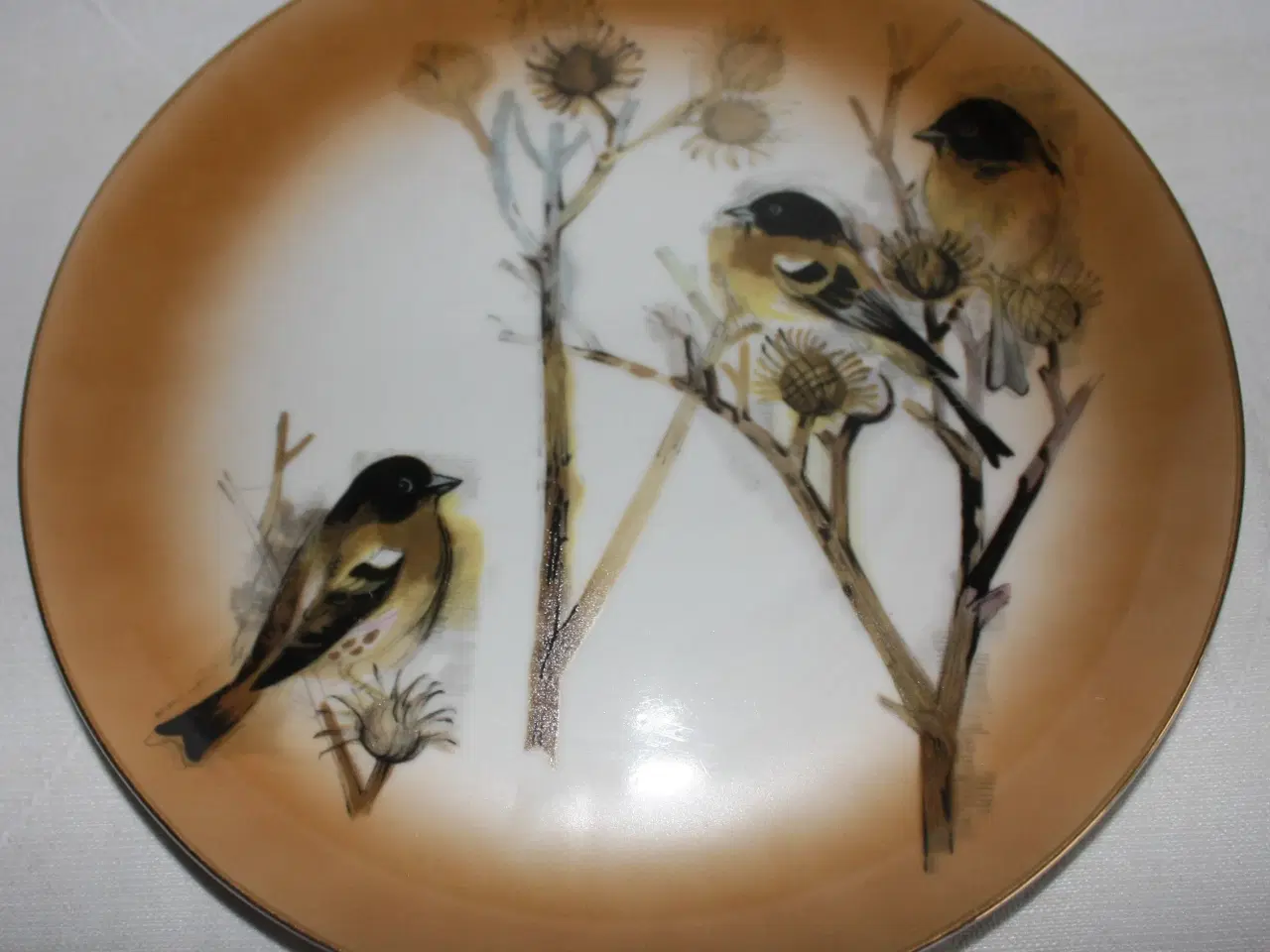 Billede 2 - Platte / tallerken med fugle