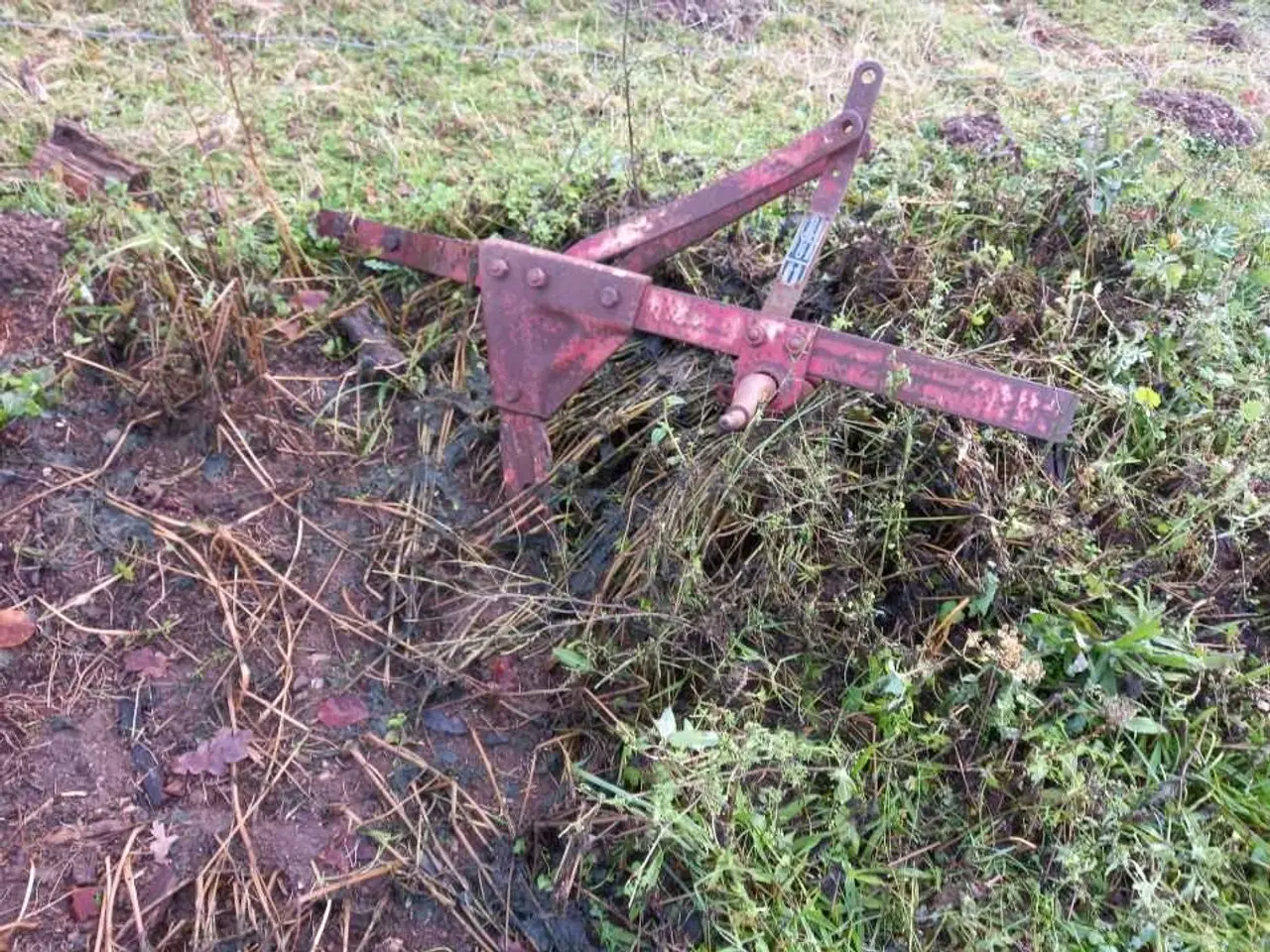 Billede 2 - Gammel  plov stel  blive  brugt som gumpetang