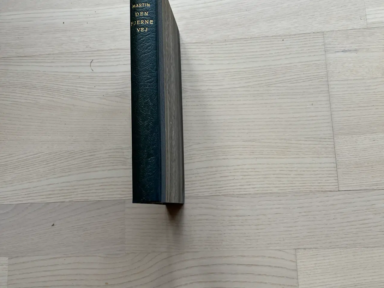 Billede 1 - Den fjerne Vej af Hans Martin