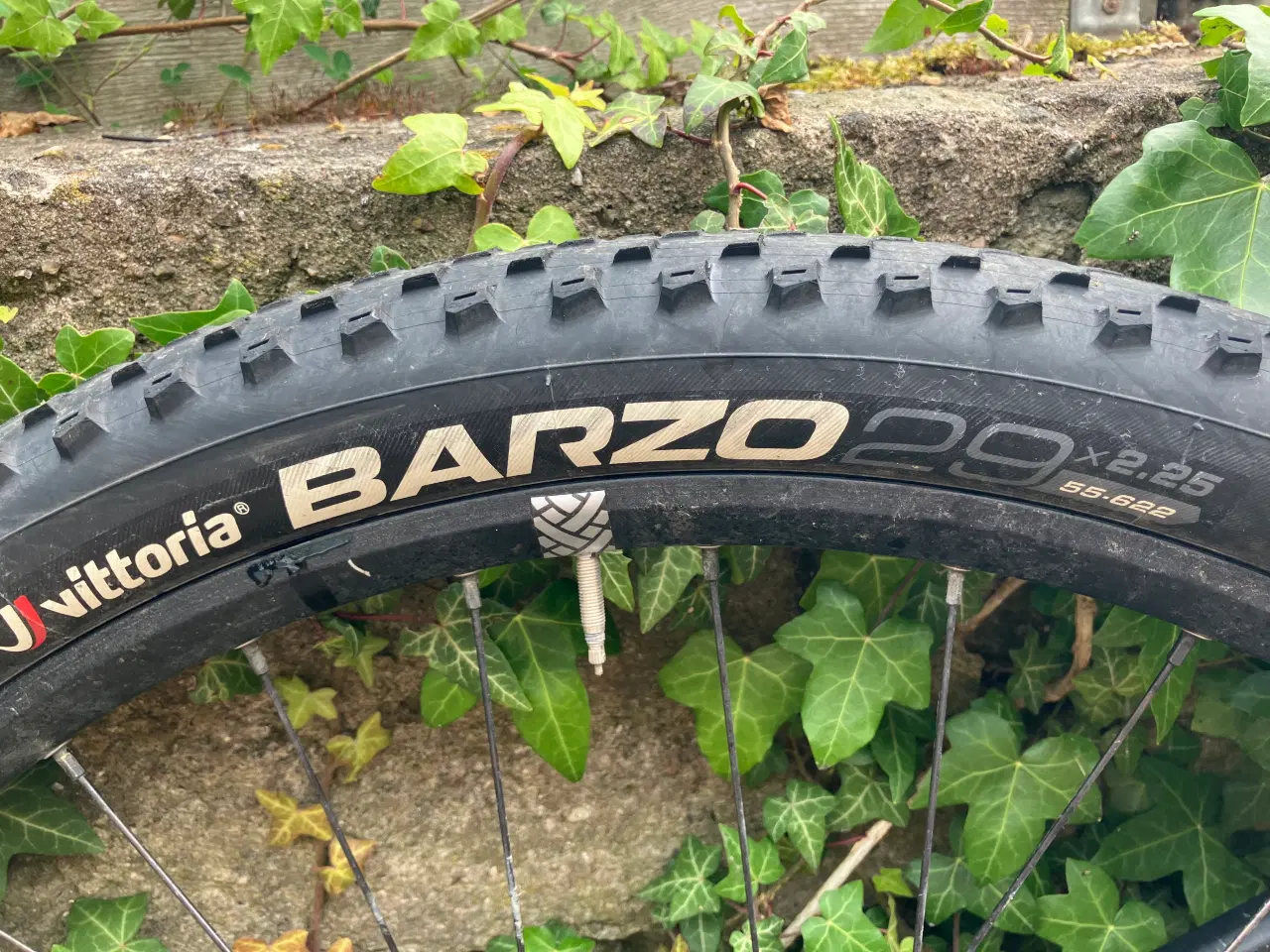 Billede 8 - Ridley Ignite A9 Sx eagle mtb 