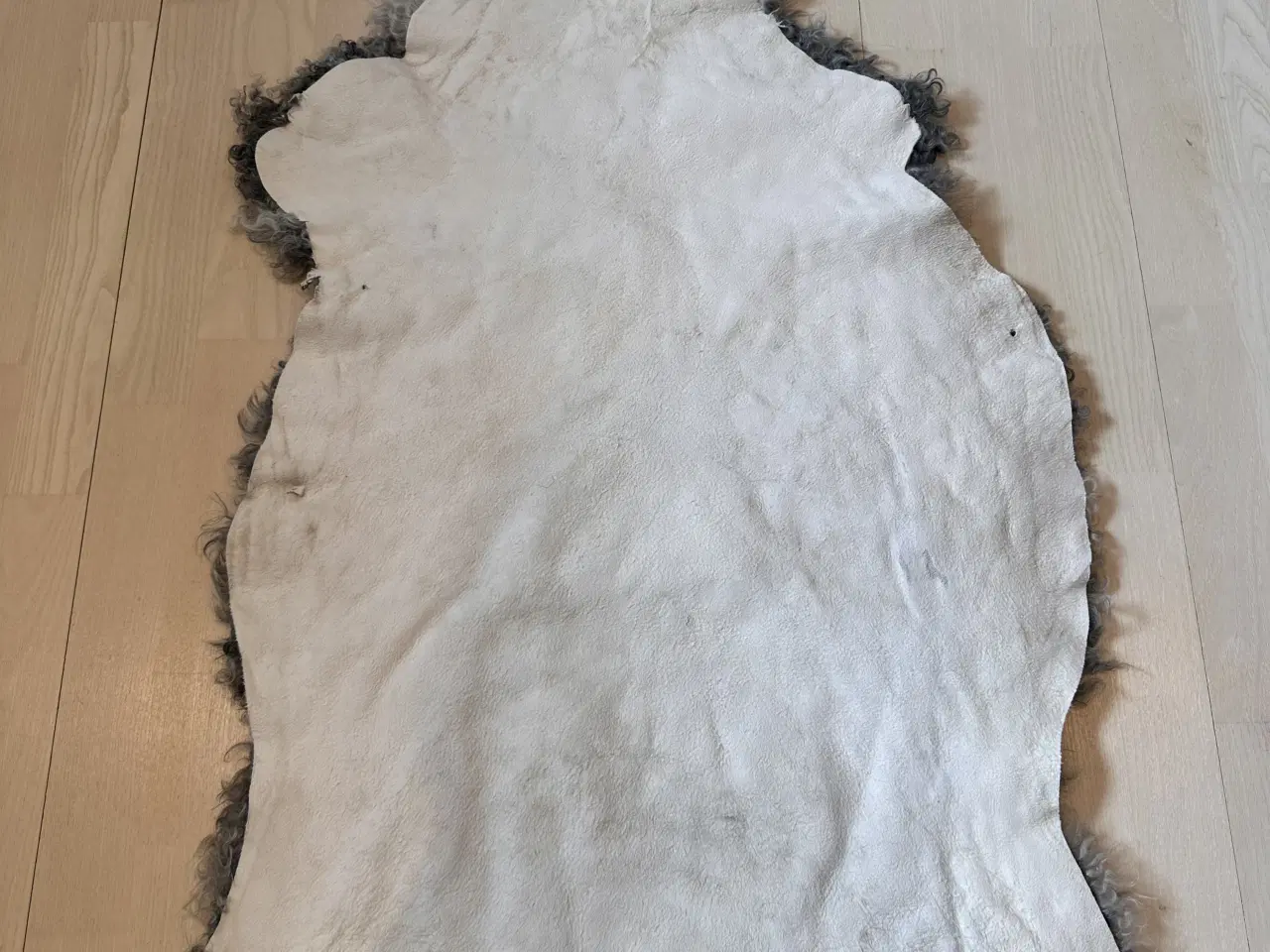 Billede 6 - Helt nyt gotlandsk lammeskind 