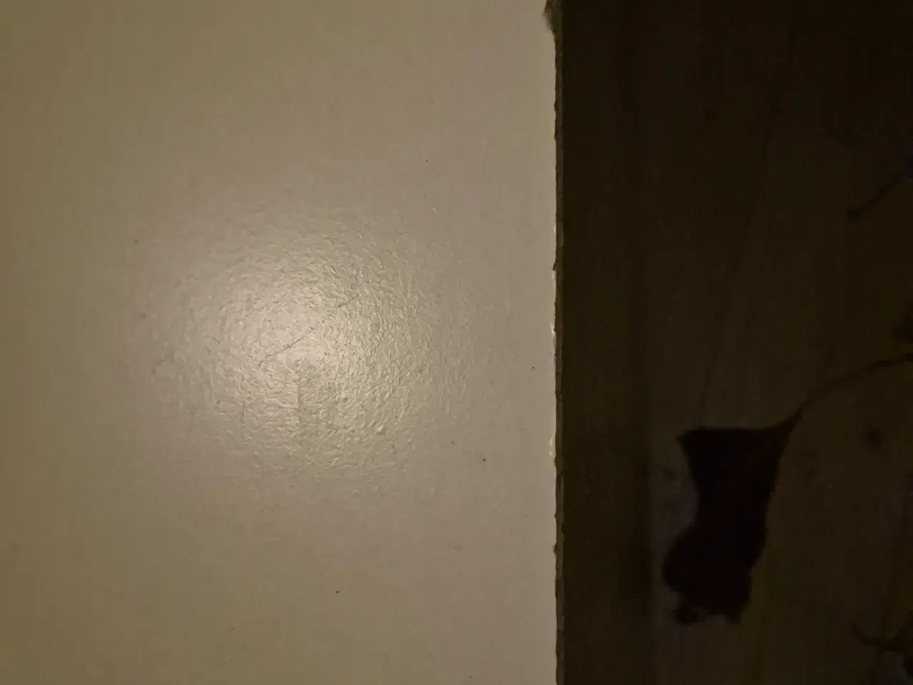 Billede 2 - Hvid Tv bord 