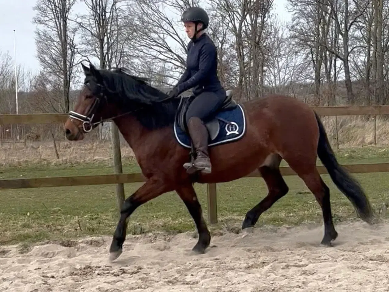 Billede 1 - Skøn pony med et dejligt sind.