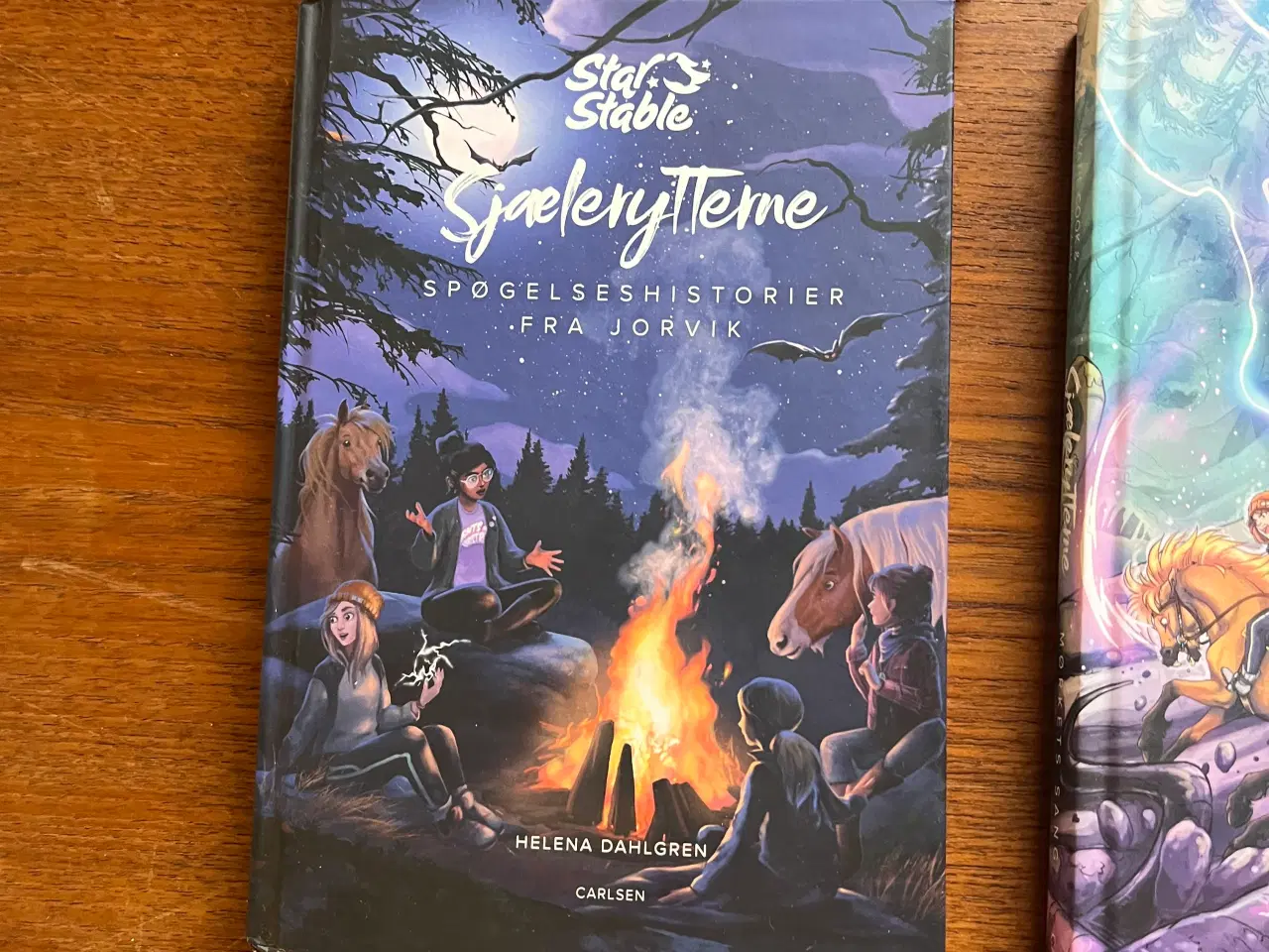 Billede 5 - Heste bøger