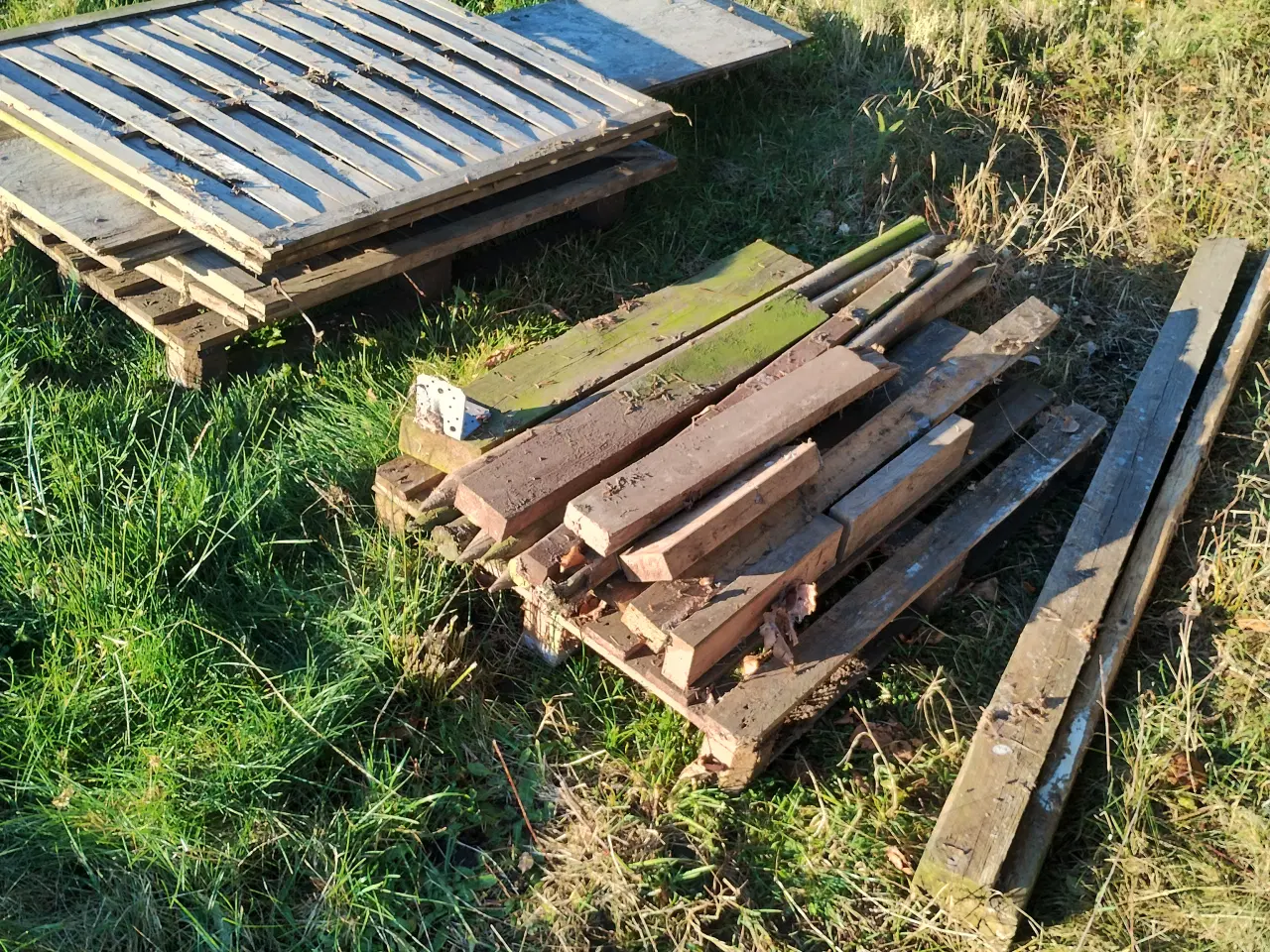 Billede 2 - Træ bortgives 