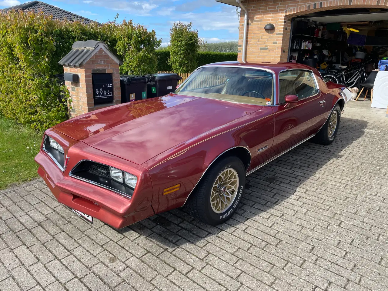 Billede 1 - Yderst Velholdt Pontiac Firebird