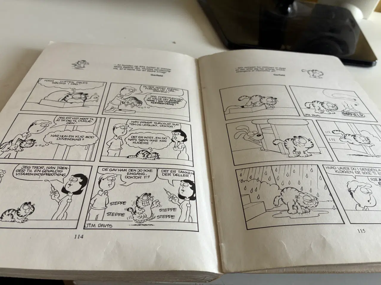 Billede 3 - Garfield  Skal det være os