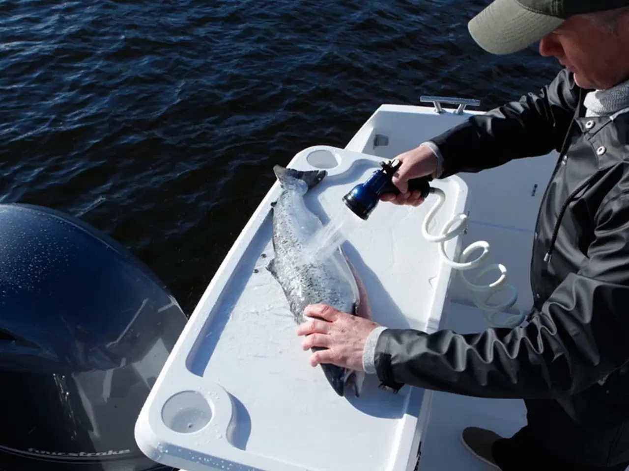 Billede 7 - Finnmaster P7 - Yamaha 200 HK fra 2018