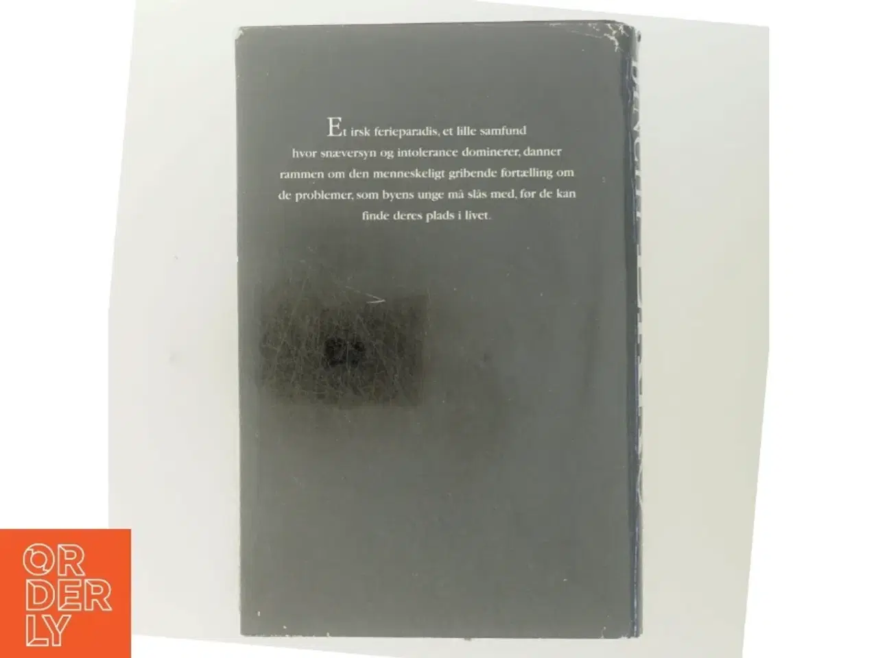 Billede 3 - Ekko af Maeve Binchy roman