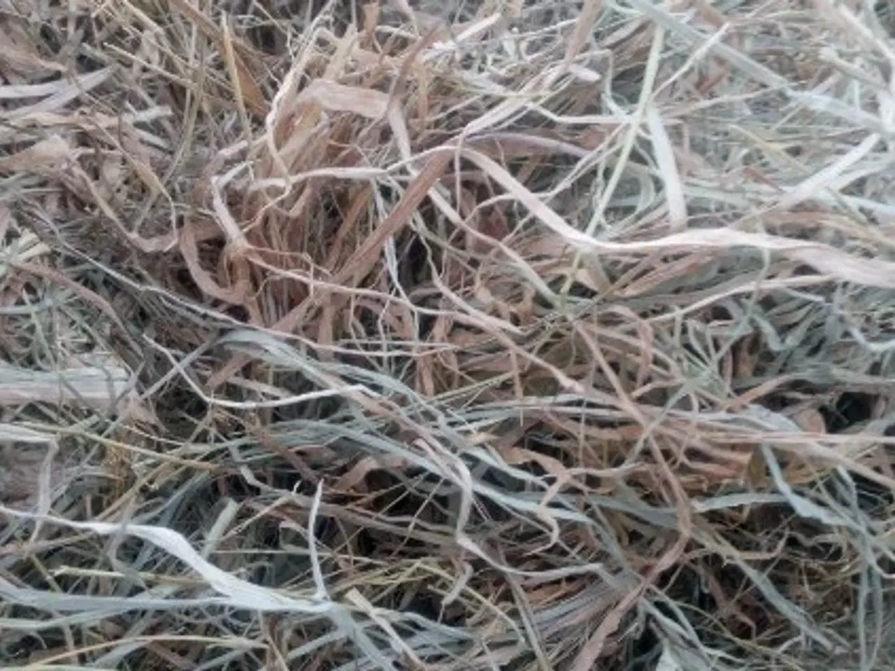 Billede 1 - Wrappet enggræs, i rundballer