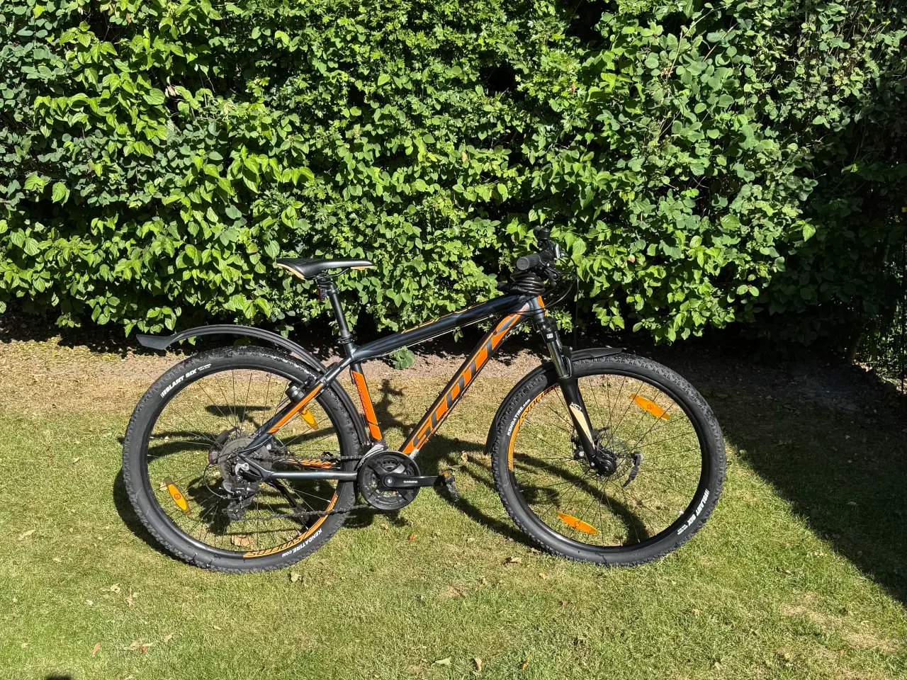 Billede 1 - Mountianbike Scott. Str. M