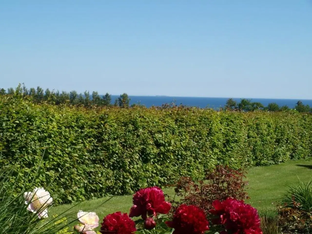 Billede 3 - Ferielejlighed med havudsigt, til 5 personer - mellem Gudhjem og Svaneke