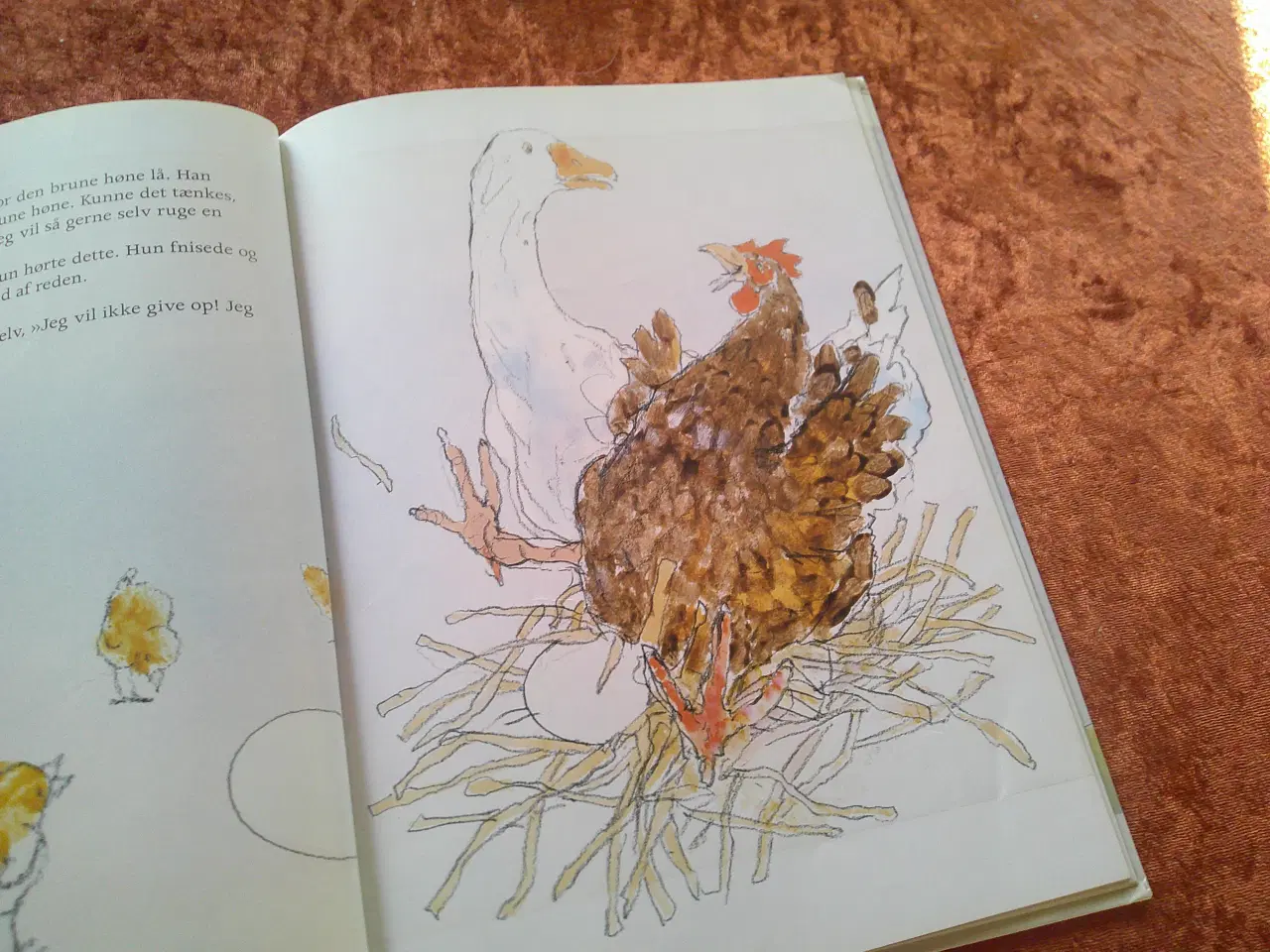 Billede 2 - Den grønne kylling, Adele Sansone,