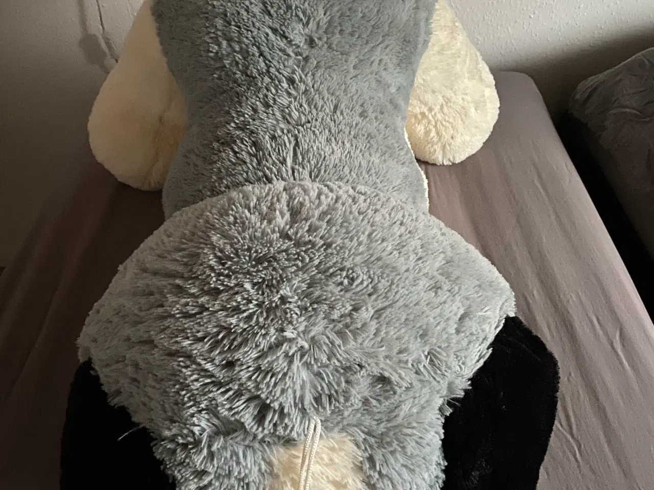 Billede 6 - Bamsehund