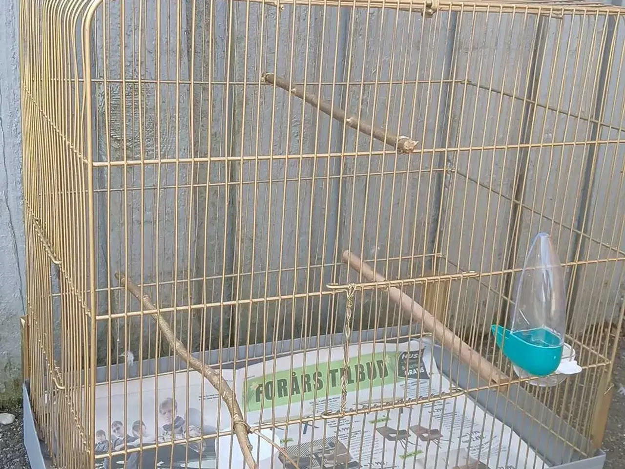 Billede 3 - Fint fuglebur 