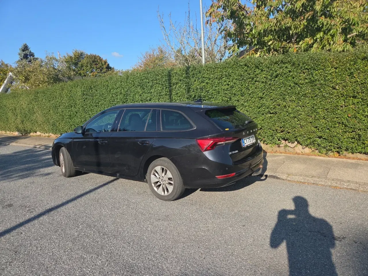 Billede 7 - Skoda Octavia 1,0 TSi 110 Ambition First Edition