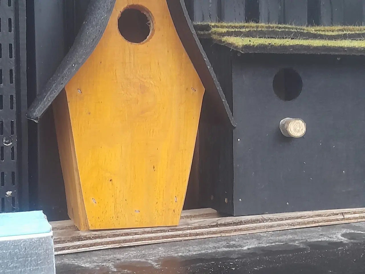 Billede 6 - Forår : det er tid at hænge redekasser op .