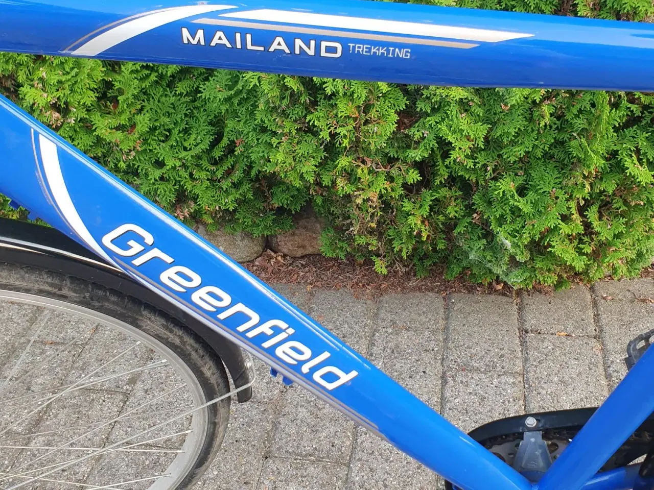 Billede 2 - Greenfield herrecykel