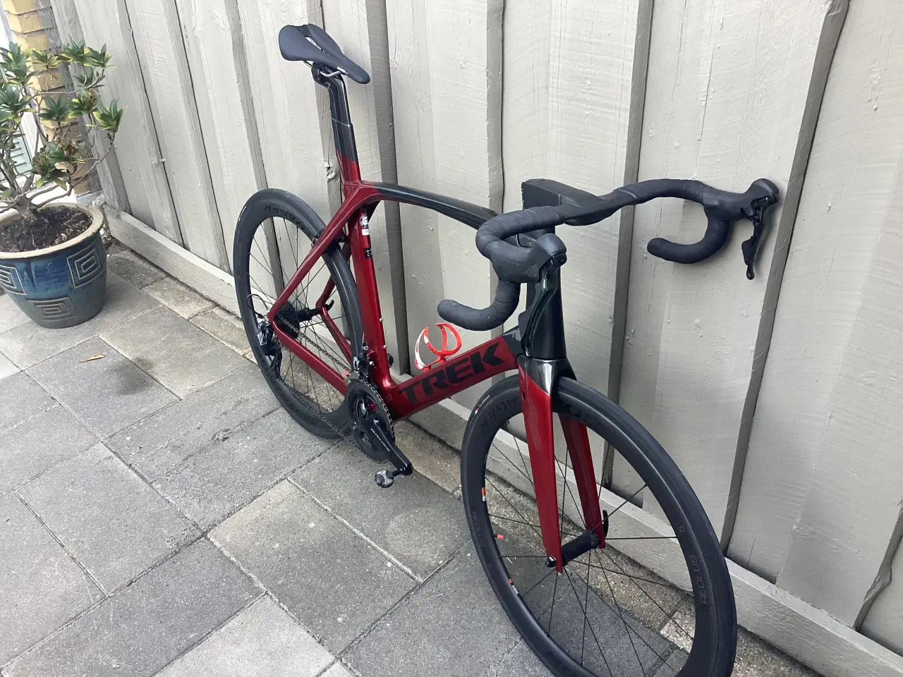 Billede 1 - Trek Madone SLR 8 (2019)