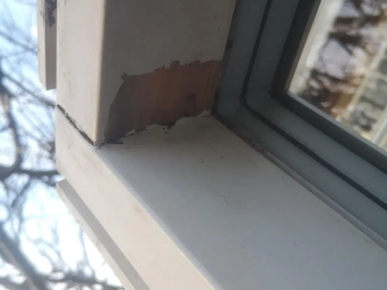 Billede 7 - Velfac termovindue fastkarm