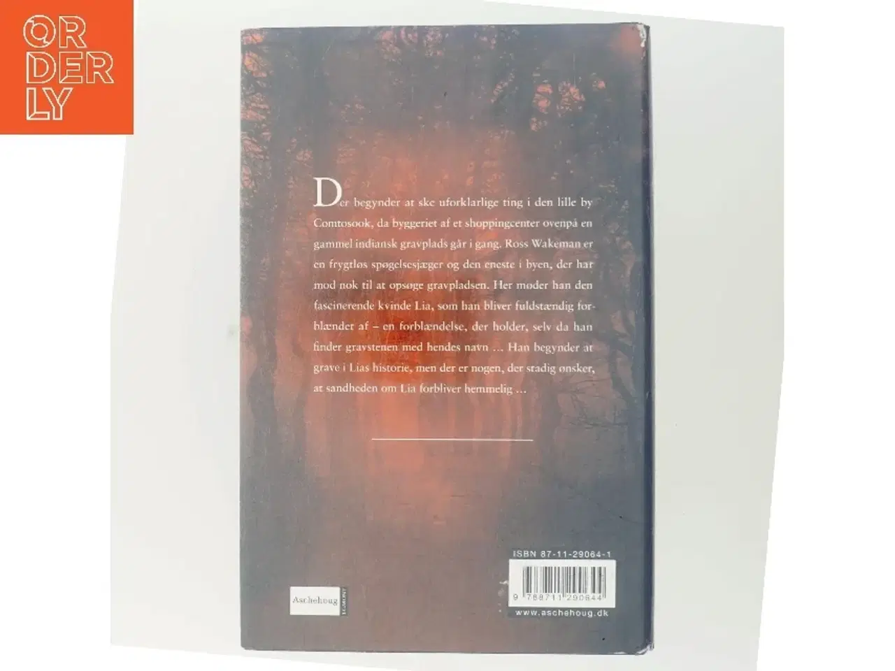 Billede 3 - Nattens skygger af Jodi Picoult (Bog)