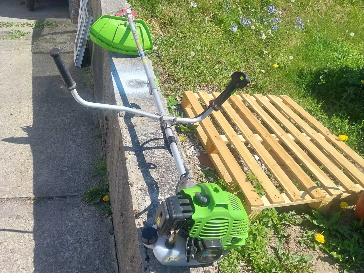 Billede 1 - Buskrydder sælges